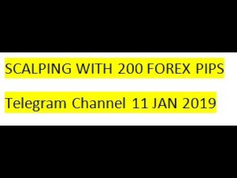 Forex trading signal reviews